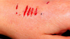 moreton01.jpg (207231 bytes)